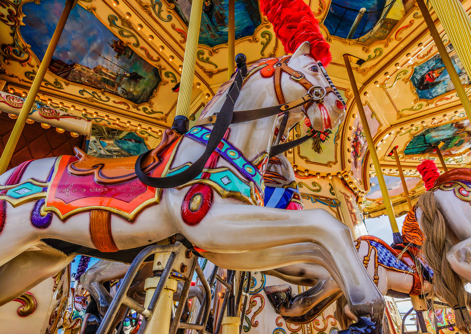 merry go round.jpg